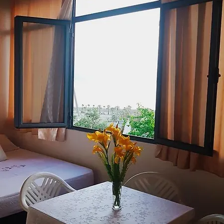 Apartament Olar