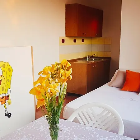 Apartament Olar
